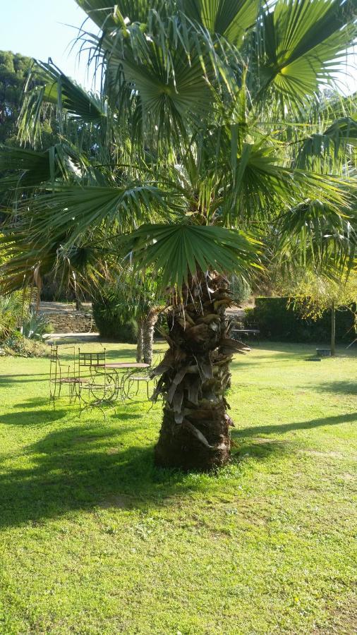 مبيت وإفطار كارْبُنْترا Provence المظهر الخارجي الصورة